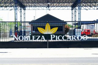 Nobleza Picardo